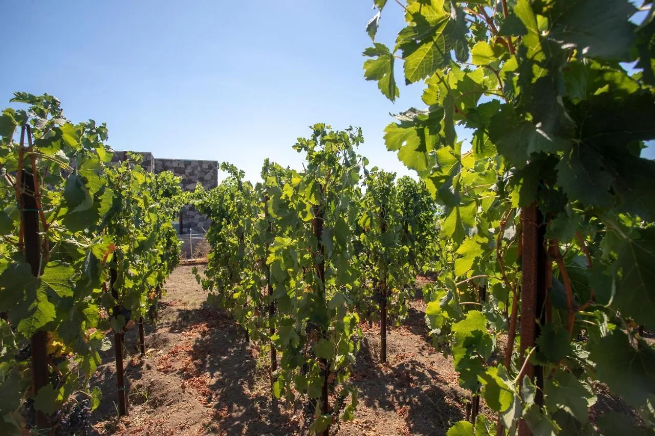 Tenuta Di Castellaro Winery & Resort Lipari   Lipari (Isola Lipari)